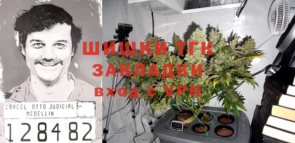 apvp Алексин