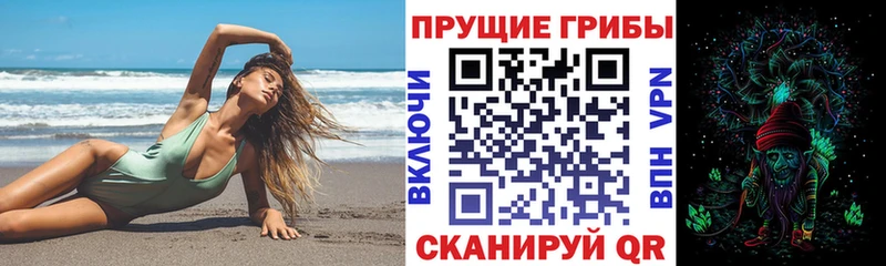 купить наркотик  Зерноград  Галлюциногенные грибы Cubensis 